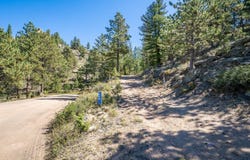 684 Iron Mountain Dr, Livermore, CO 80536