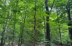 70 Fox Brook Rd, Redfield, NY 13437