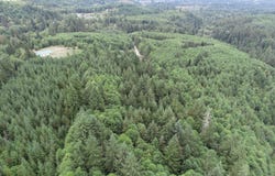 Thompson RD, Yacolt, WA 98675