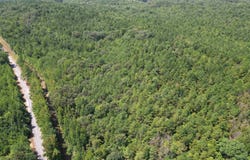 Co Rd 26, Detroit, AL 35552