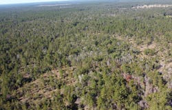 TBD  Joe Lorenz Rd, Singer, LA 70660