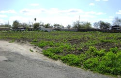2006 Josephine Avenue lot: 16, Corcoran, CA 93212