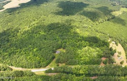 1111 Embro-Vaughn Road, Macon, NC 27551