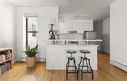 168 Sterling Place, Brooklyn, NY 11217