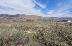 550 Appaloosa Circle, Reno, NV 89508