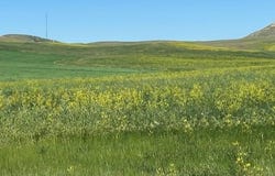 16547 Highway 79, Newell, SD 57760