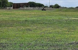 1139 S Wilson, Palo Pinto, TX 76484