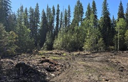 Nna Old Highway Two Loop, Moyie Springs, ID 83845
