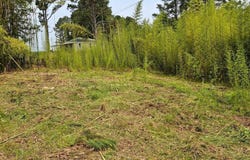 1803 COUNTY ROAD 99, HALEYVILLE, AL 35565