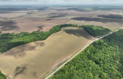 Winchester, AR 71677-9422