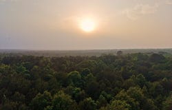 CR 2742, Naples, TX 75568