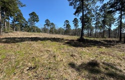 FM 83 lot: 004, Broaddus, TX 75929