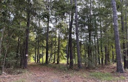 0 Providence Cir, Awendaw, SC 29429