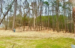 1 Magnolia, Summerville, GA 30747