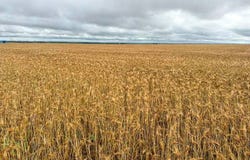 Drummond  Area, Drummond, OK 73735