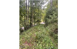 Lot 18 Horseshoe Cove Dr/Mistyhollow Drive, Butler, TN 37640