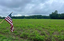 BIVALVE LODGE ROAD, BIVALVE, MD 21814