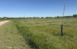 TBD Lot 4 Wild West Place, Belle Fourche, SD 57717