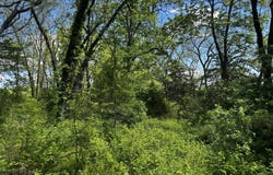 E Dade 22 Road, Arcola, MO 65603