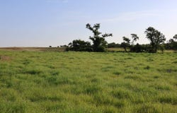 N 2550 Rd E 0920 Rd, Arapaho, OK 73620