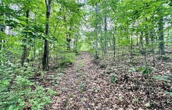 Noble Hill Rd, Pleasant City, OH 43772