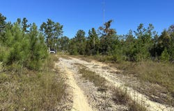 Parcel D2 Millside Road, Laurel Hill, FL 32567