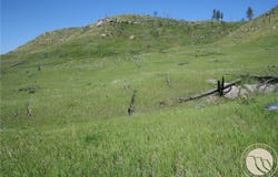 Lot 31 Skunkbelly Lane, Reed Point, MT 59069