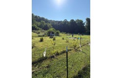 138-186 Galilee Church Road, Wytheville, VA 24382