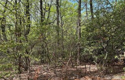 John Delk Road unit: 3, Hendersonville, NC 28792