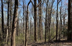 Tbd Buck Hollar Rd., Hillsville, VA 24343