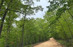 Arabian  LN, Rogers, AR 72756