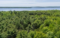 Newport Lot 8 Murray Road, Newport, ME 04953