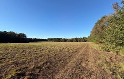 Redcut Rd, Fouke, AR 71837