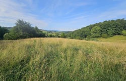 Tbd Quite Acres Lane, Glade Spring, VA 24340