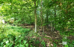 122 Golanvyi Tr, Vonore, TN 37885