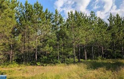 Hwy. 24 lot: C, Orr, MN 55771