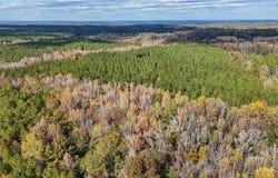 407 COUNTY ROAD 258, FIVE POINTS, AL 36855