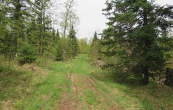 TBD Section 16, Covington, MI 49919