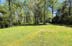 1706 Co Rd 559, Rogersville, AL 35652