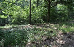 5990 Martin Lane, Harrisburg, AR 72432