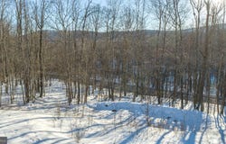 LOT 1 CHERRYWOOD DRIVE, OAKLAND, MD 21550