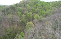 321 Mill Creek Road, Jackson, KY 41339