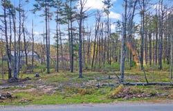 10 Squashville Road, Greenfield Center, NY 12833