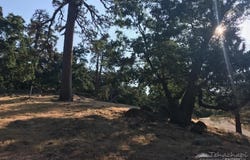 29151 Woodview Court, Tehachapi, CA 93561