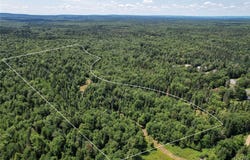 9161 Christmas Tree Lane Road, Forestport, NY 13338