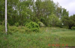Lucas Dairy Road, Grafton, WV 26354