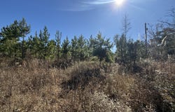 Tanner Road, Marianna, FL 32448