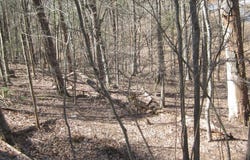 180 SPRUCE LANE, MOUNT JACKSON, VA 22842