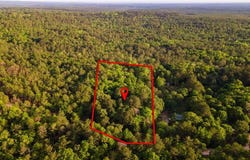 7321 Old Gulfcrest Road, Citronelle, AL 36522