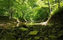 5579 Falls of Rough Road, Caneyville, KY 42721